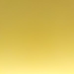 Meet your Posher, Gary